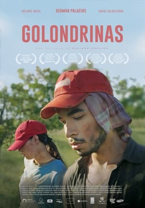 Poster Golondrinas (2020)