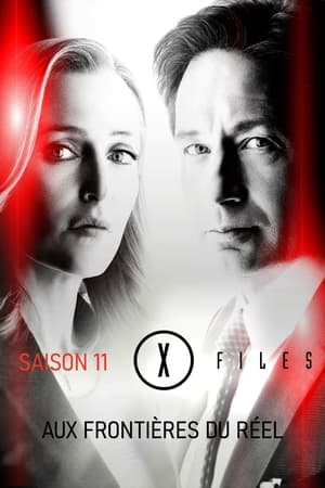 X-Files : Aux frontières du réel - Saison 11 - poster n°12
