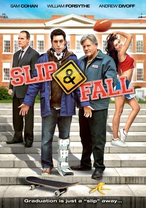 Poster Slip and Fall 2011