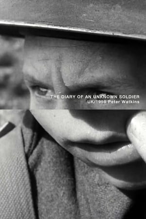 The Diary of an Unknown Soldier poster