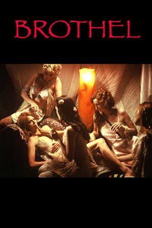 Poster 闹鬼的妓院 2008