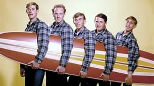 The Beach Boys - Live at Knebworth