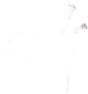A Special Lady — Logos 1