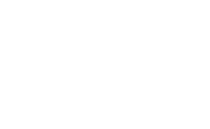 The Wilds: Vidas Selvagens