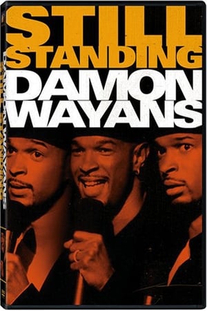 Image Damon Wayans:  Still Standing