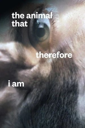Nonton film The Animal That Therefore I Am (2021) terbaru sub indo Nonton film The Animal That Therefore I Am (2021) terbaru sub indo