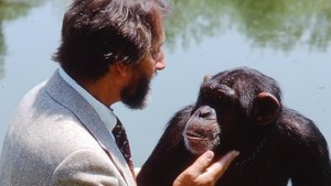 مشاهدة الوثائقي Lucy the Human Chimp 2021 مترجم مباشر اونلاين