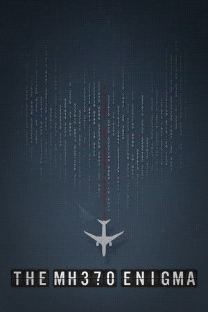 The MH370 Enigma