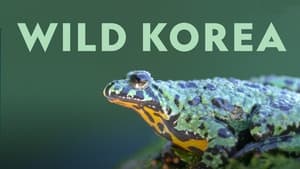 poster Wild Korea