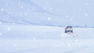 The Woman in the White Car