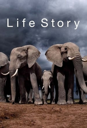 Life Story: Season 1