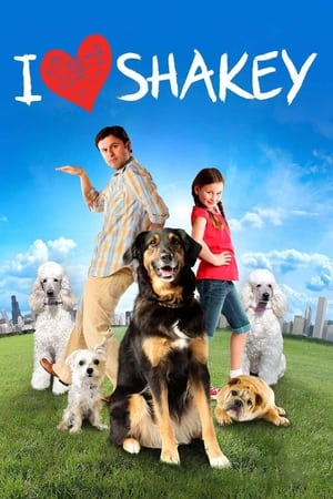 Image Shakey, un amour de chien