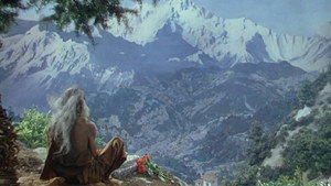 Black Narcissus