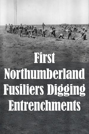 First Northumberland Fusiliers Digging Entrenchments