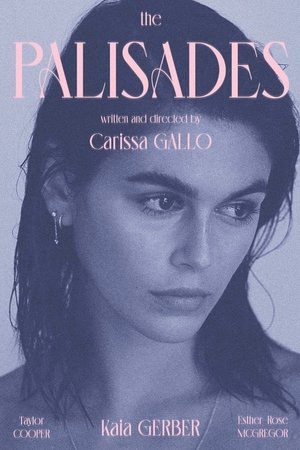 Poster The Palisades 2022