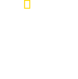 Ditadores: O Livro de Regras — Logos 10