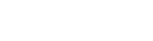 Gattaca: A Experiência Genética — Logos 11