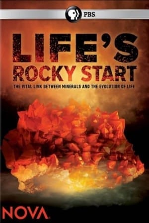 Poster NOVA: Life's Rocky Start 2016