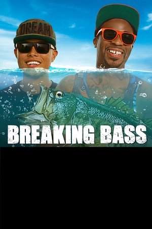 Breaking Bass