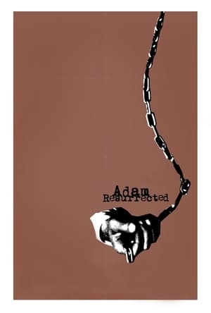 Poster 苏醒的亚当 2008