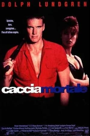 Poster Caccia mortale 1993