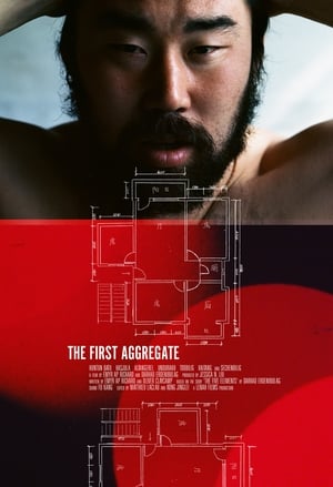 Poster The First Aggregate (2012)