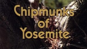 Épisode 8