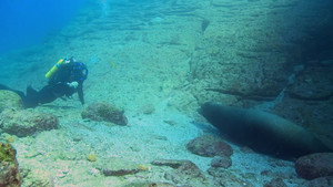 Baja Mexico
