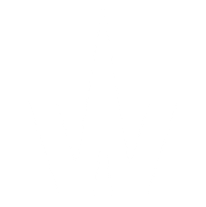 Logo Waves