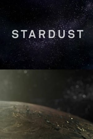 Poster Stardust (2013)