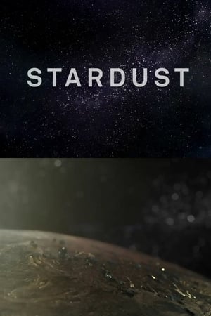 Poster Stardust 2013