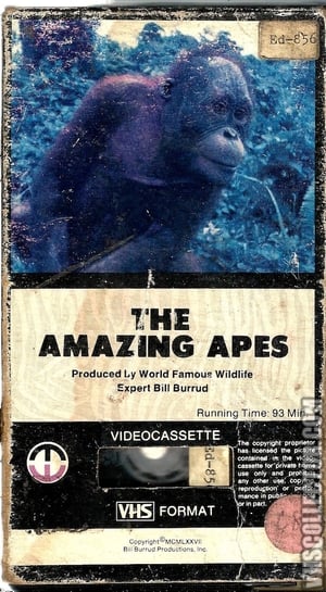 Poster The Amazing Apes (1983)