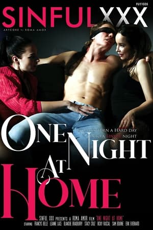 Poster One Night At Home (2021)