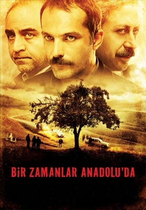 Poster Имало едно време в Анадола 2011