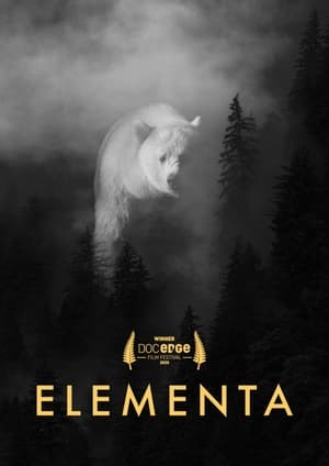 Poster Elementa (2020)