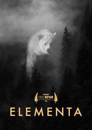 Image Elementa