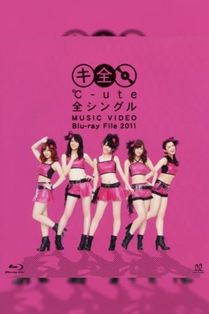 Image ℃-ute Zen Single MUSIC VIDEO Blu-ray File 2011