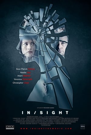 InSight cover