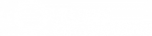Le Quiz des champions — Logos 1