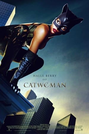 Poster Catwoman 2004
