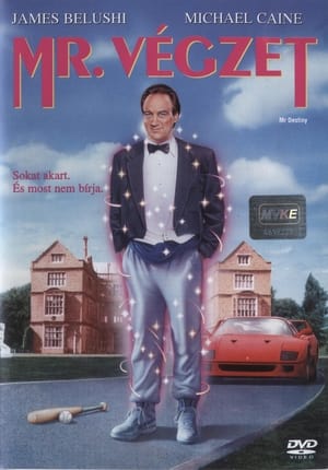 Mr. Végzet (1990)