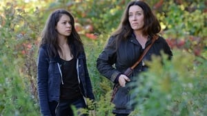 Orphan Black: Stagione 2 x Episodio 2