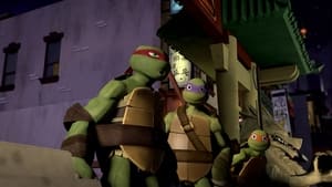 Teenage Mutant Ninja Turtles Follow the Leader