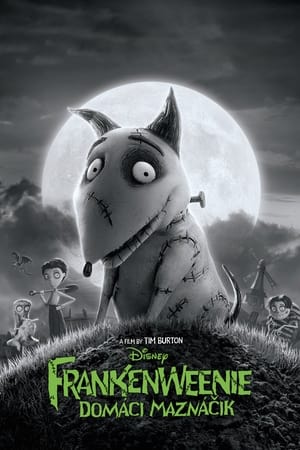 Image Frankenweenie: Domáci maznáčik