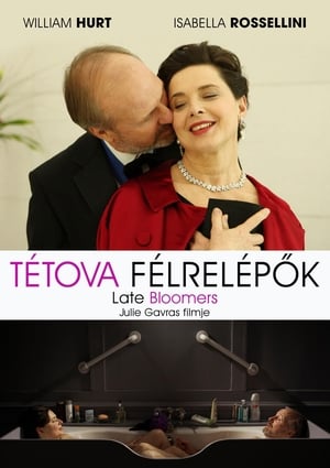 Poster Tétova félrelépők 2011