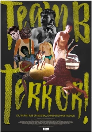 Poster Doors: Team B Terror 2018