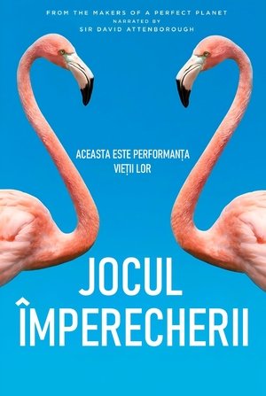 Image Jocul împerecherii