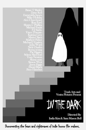 Poster In the Dark 2024