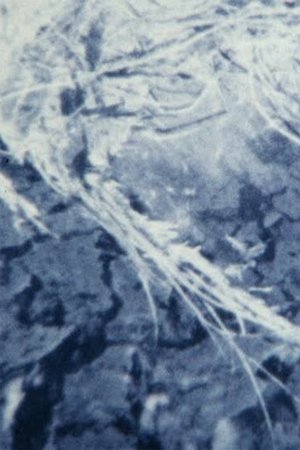 Nonton film Ecosystem 10 ~ A Dripping Moss (1996) terbaru sub indo Nonton film Ecosystem 10 ~ A Dripping Moss (1996) terbaru sub indo