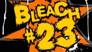 Bleach: 1×23